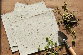 Seed paper