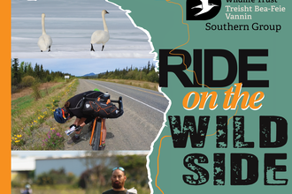 Ride on the wild side