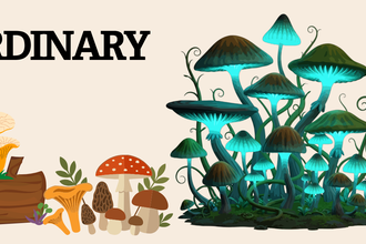 Illustration wildlfie watch fungi