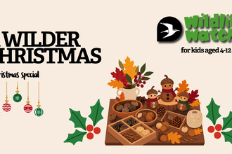illustrations for natural Christmas crafts