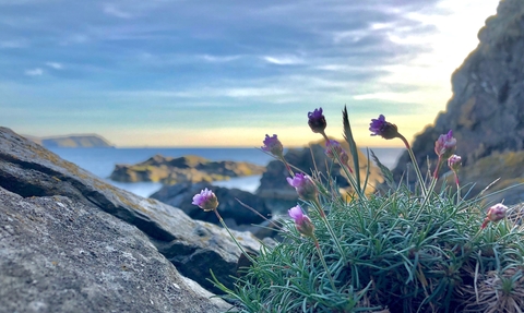 landscape, Isle of Man