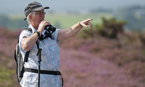 Bird spotting