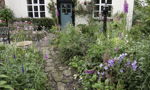 wildlife friendly gardening