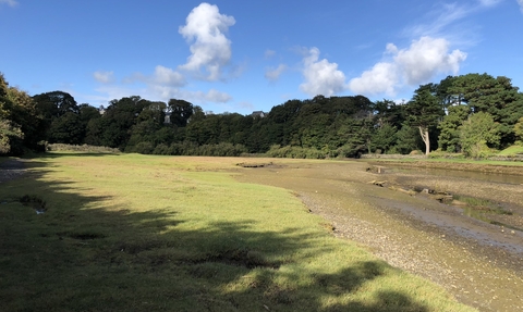 poyll dooey salt marsh