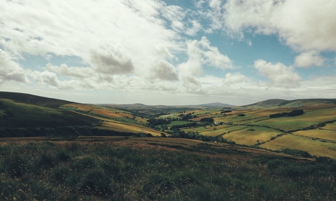 MWT Creg y Cowin Nature Reserve landscape image