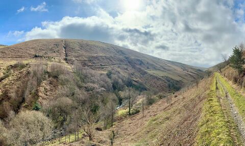 A hillside path through Glen Auldyn, going past hills covered with grass and some trees