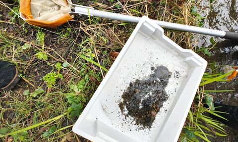 Picture of kick sampling tools (net and tray)