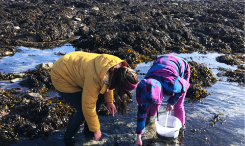 Rockpooling teacher training 