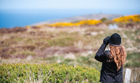 Chloe at MWT Dalby Mountain Reserve