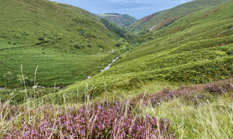 Glen Auldyn