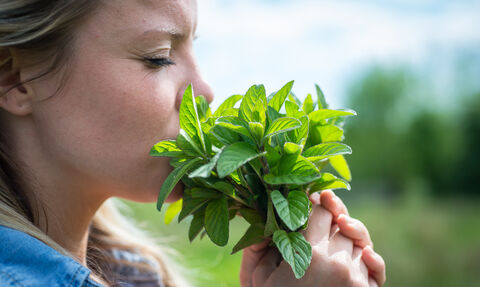 Nature and wellbeing