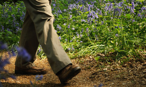 Nature for business