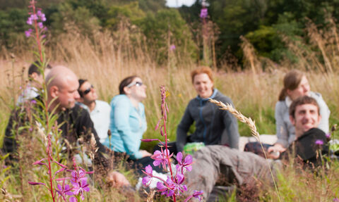 Nature wellbeing