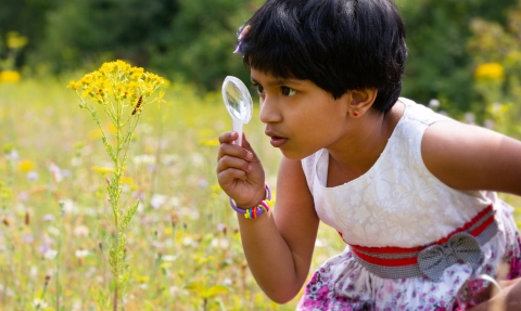 girl in meadow