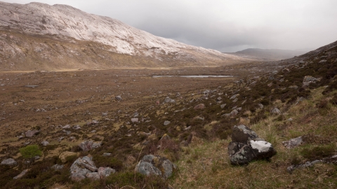 Blanket bog