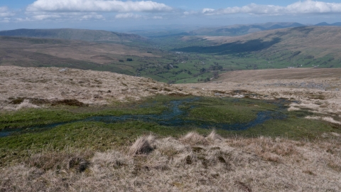 Upland spring, flush and fen