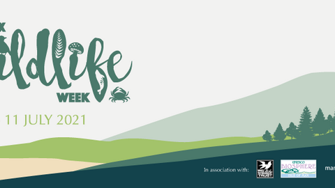 Manx Wildlife week
