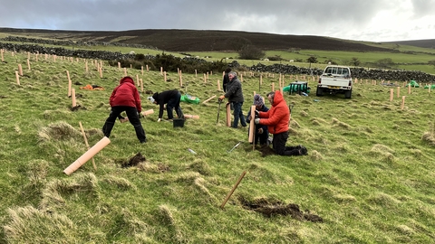 People planting trees