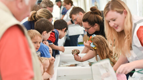 Image of the tanks at Festival of the Sea with children and adults looking. 