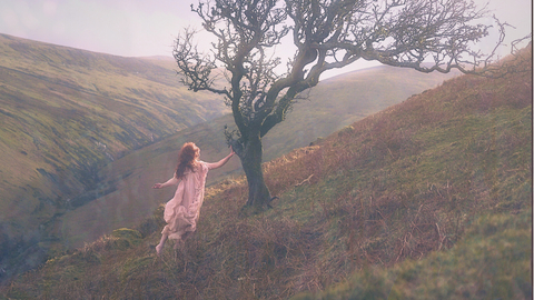A woman wearing a dress is posing by a windswept tree on a hillside