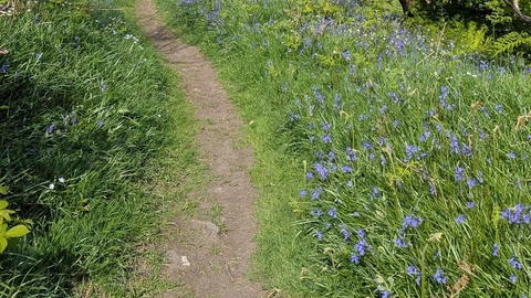HWP Path