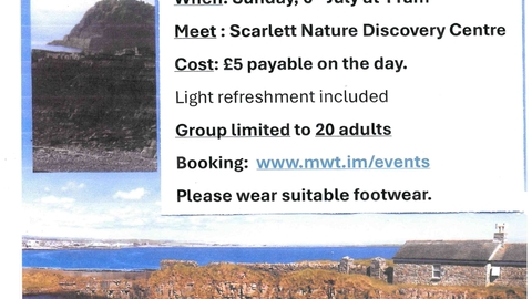 Geology at Scarlett