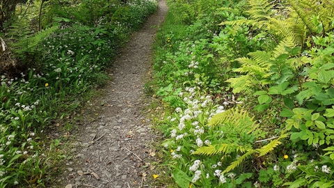 Cooildarry Nature Reserve