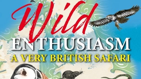 Wild Enthusiasm