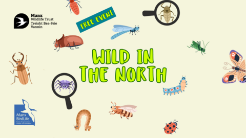 Wild in the North