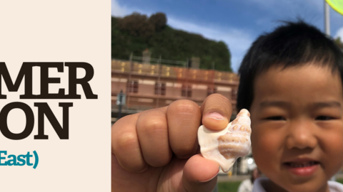 Event banner for Rockpooling, East (Watch Event) with an image of a child holding a sea shell