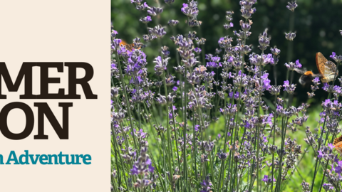 Event banner for Wildlife Garden Adventure (Watch Event) with an image of a wildflower meadow and butterflies