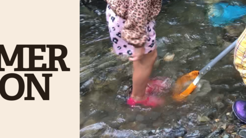 Event banner for River Dipping (Watch Event) with image of people in a stream with wellies and nets