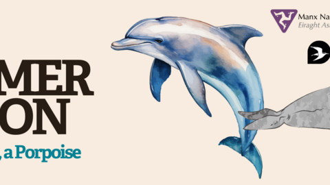 Event banner for Meet a Dolphin, a Porpoise and a Seal! with image drawings of a dolphin and seal, with logos
