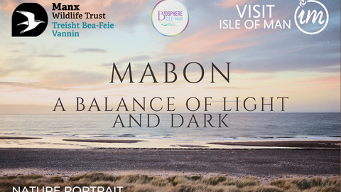 A photo of two women stood on marram grass covered sand dunes at dusk.