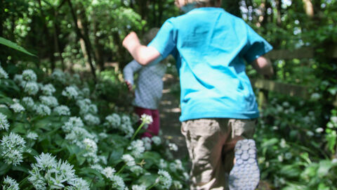 Running-through-wild-garlic-claughbane © Clare-Paine
