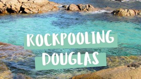 Rockpooling image