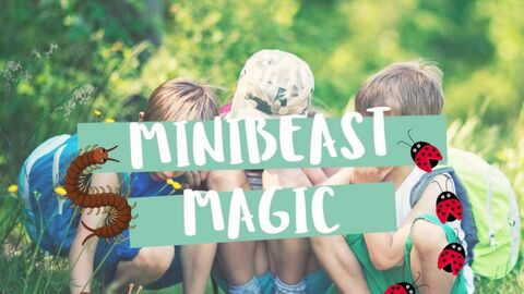 Minibeast magic