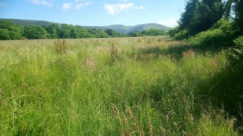 Ballaugh