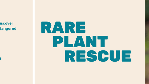 Rare plant rescue