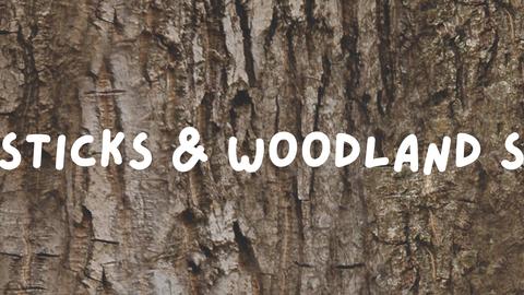 Magic sticks and woodland stories