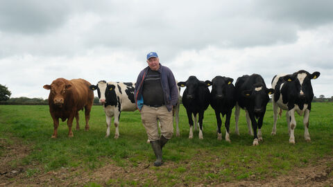 Derek with his cows
