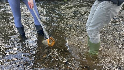 river dipping