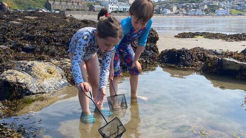 Rockpooling
