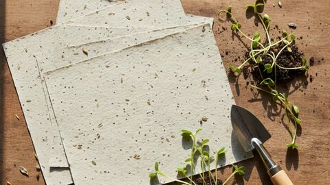 Seed paper