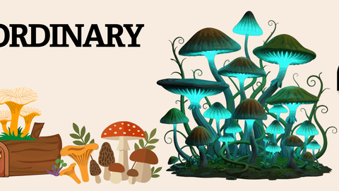 Illustration wildlfie watch fungi