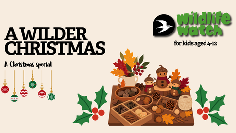 illustrations for natural Christmas crafts
