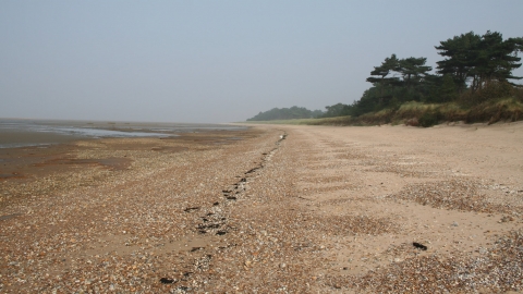 beach