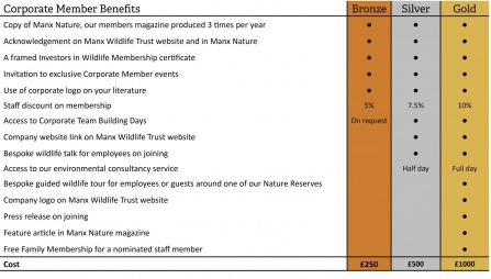 Corporate member options