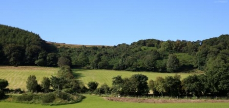 Crossags Coppice