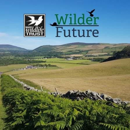 A wilder Future | Manx Wildlife Trust